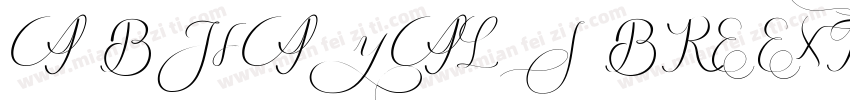 ABHAYALIBRE EXTRABOLDTTF字体转换